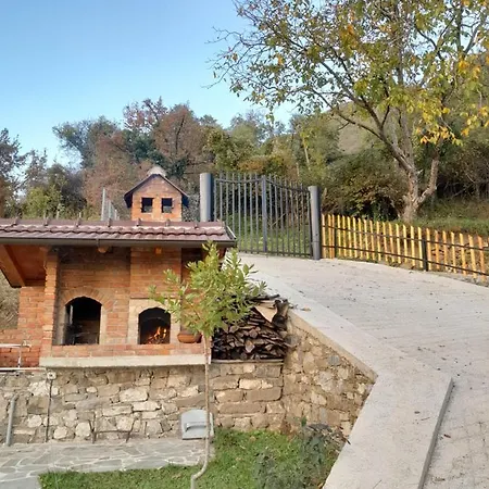 Laci Τίρανα