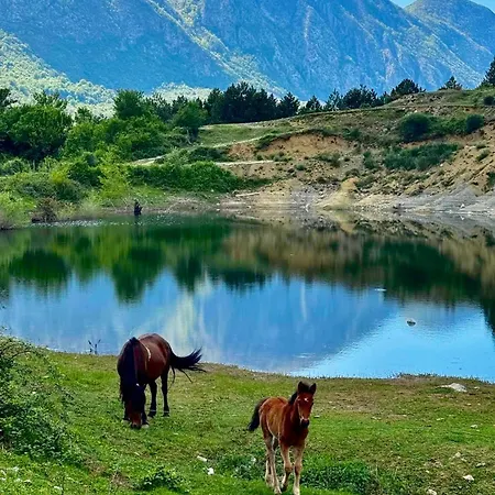 Tatil Evi Laci *