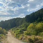 Laci 度假居 地拉那