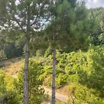 Laci 地拉那