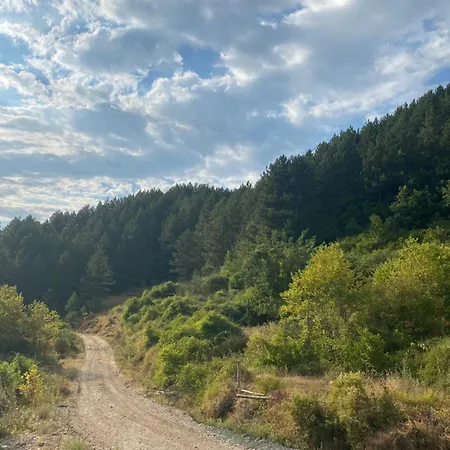 Laci Tatil Evi Tiran