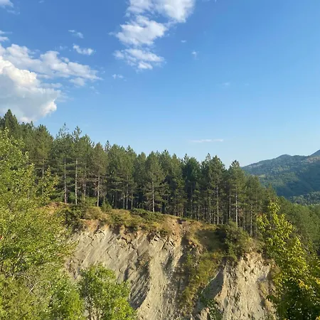 Дом отдыха Laci Тирана