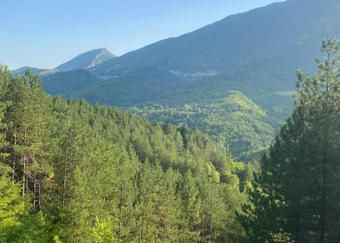 Casa de Férias Laci *