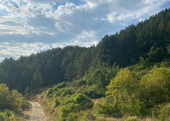 Laci Casa de Férias Tirana