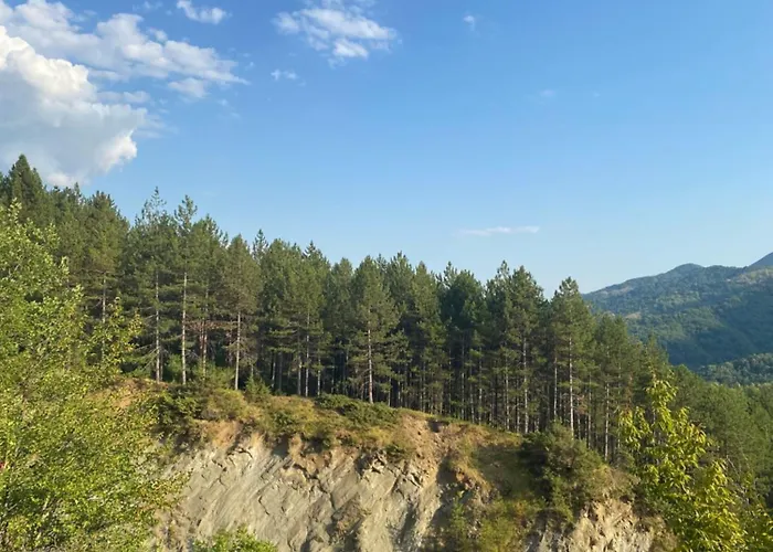 Casa de Férias Laci Tirana